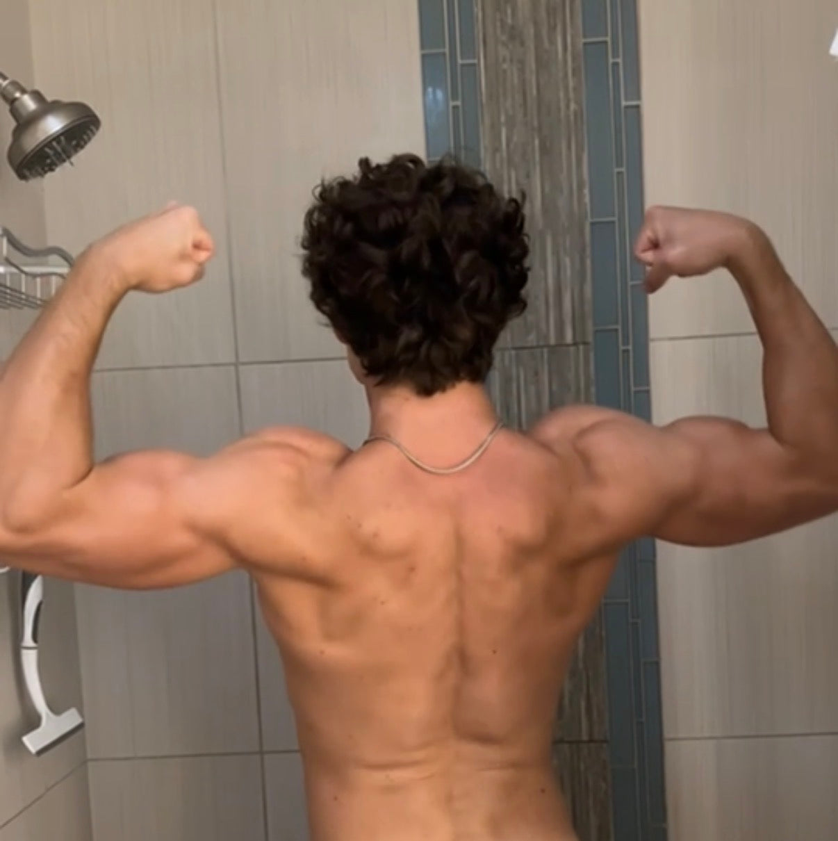 The Shredded Blueprint